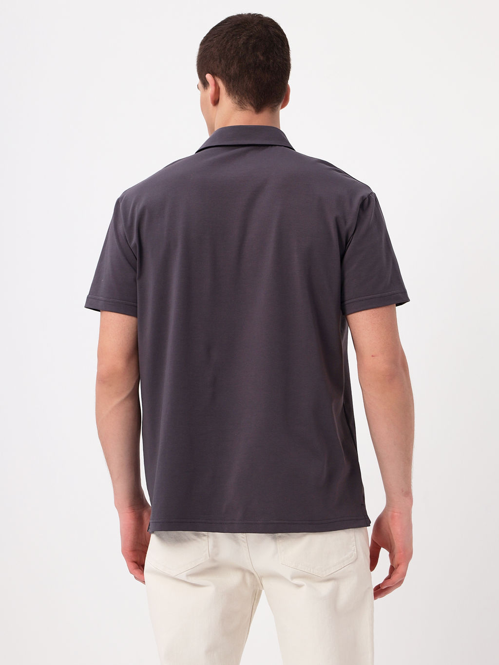 Джемпер мужской с воротником поло короткий рукав GREG G144-KO1246T-SAS5095 (серый) фото 4