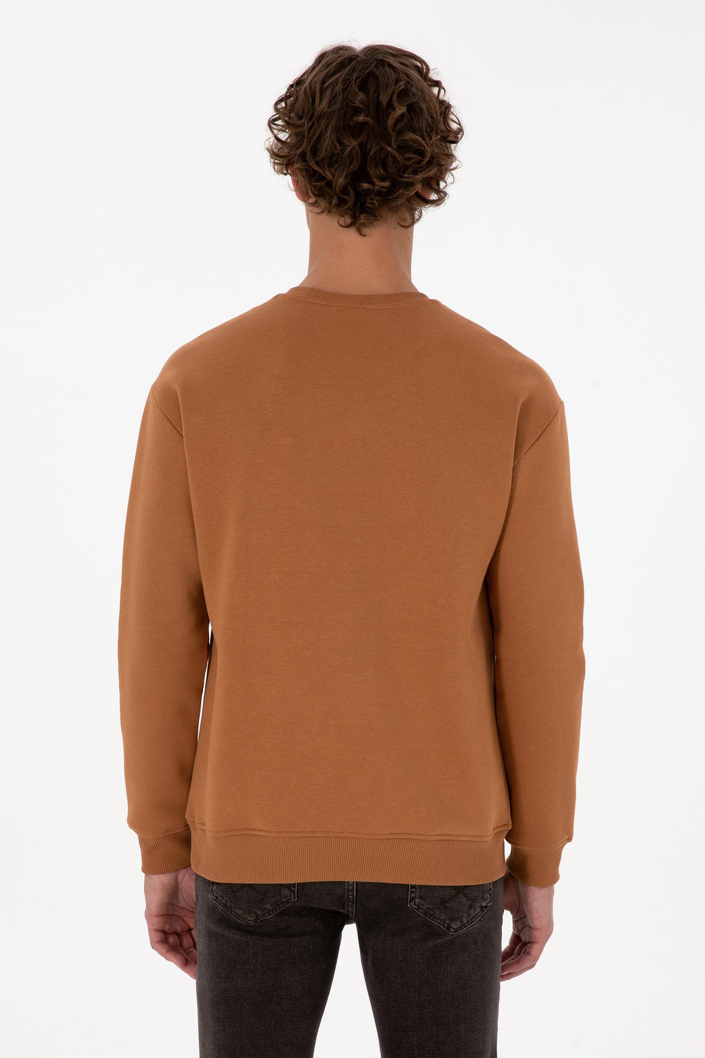 Erkek Camel Basic Sweatshirt - U.s. polo assn фото 5
