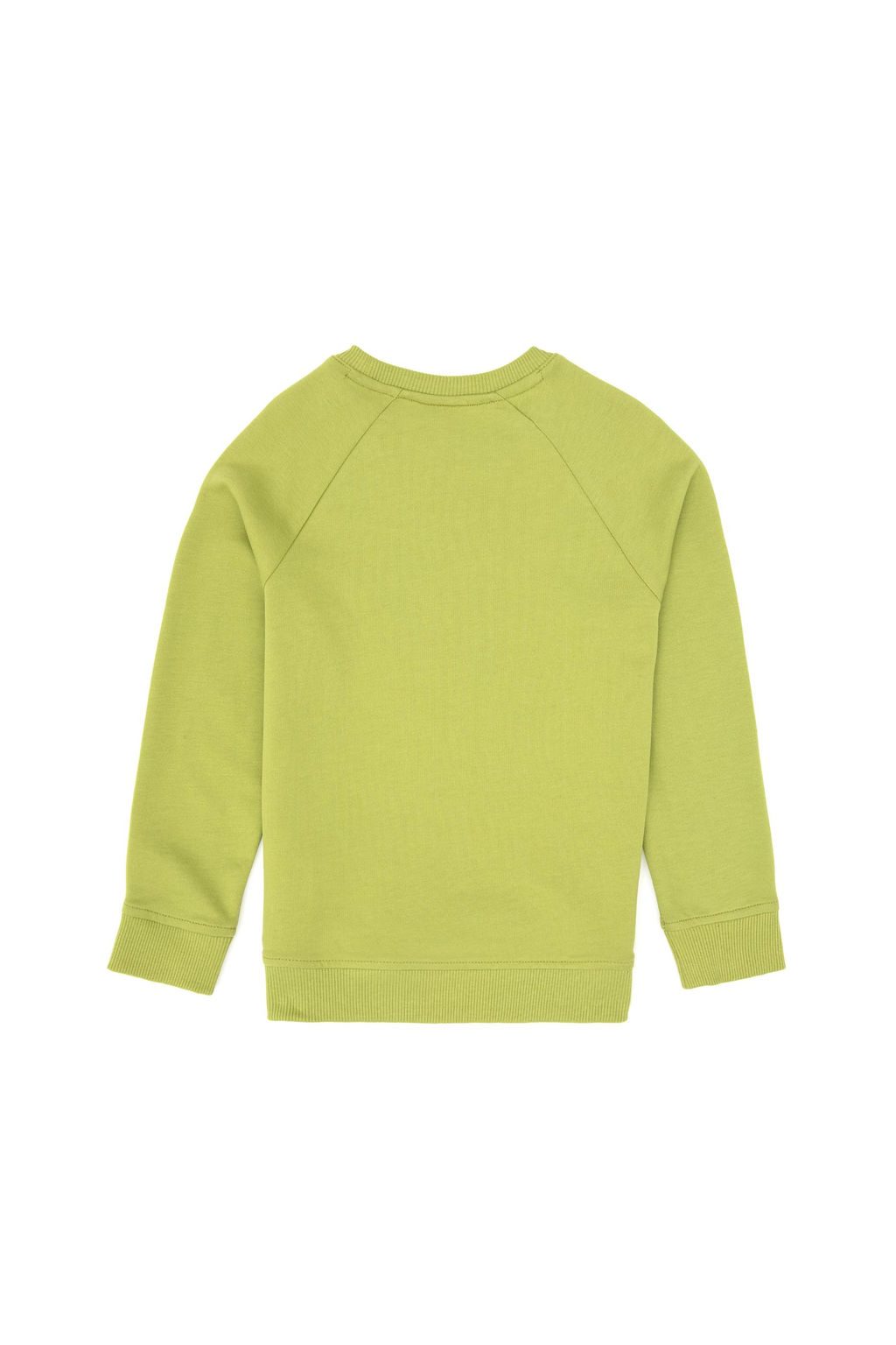 Erkek _ocuk F_st_k Ye_ili Basic Bisiklet Yaka Sweatshirt Sepette S_rpriz _ndirim - U.s. polo assn фото 2