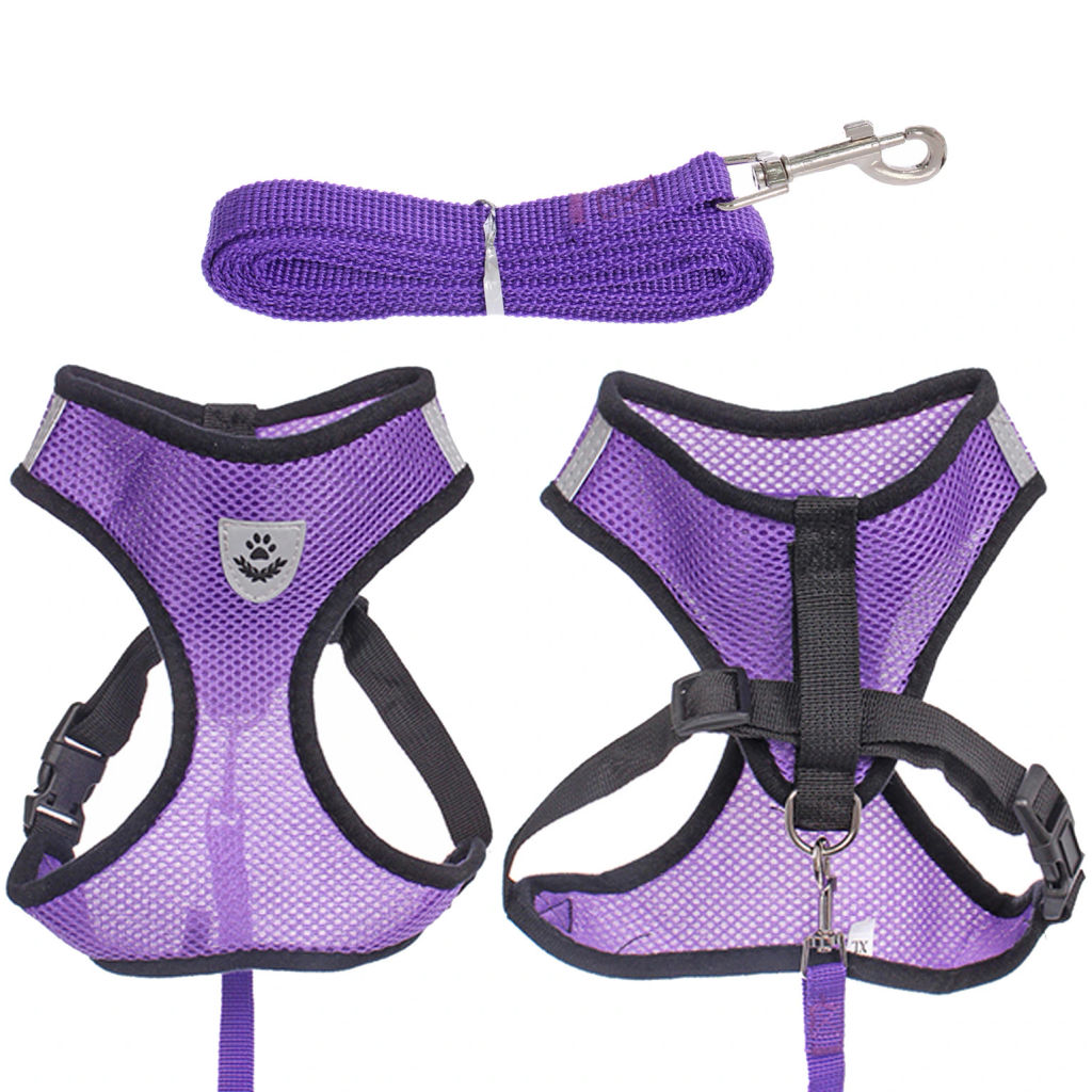 Цена за 2 шт. Шлейка с поводком 118см "Sweet puppy" размер ХL, цвет фиолетовый