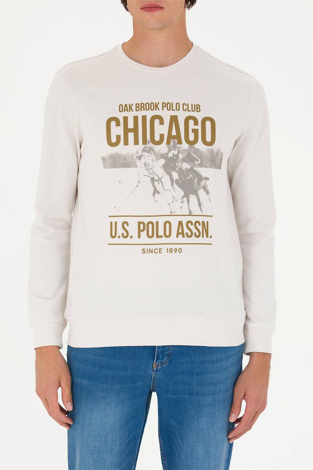 U. S. Polo Assn / Мужская толстовка с камнем - U.s. polo assn фото 13