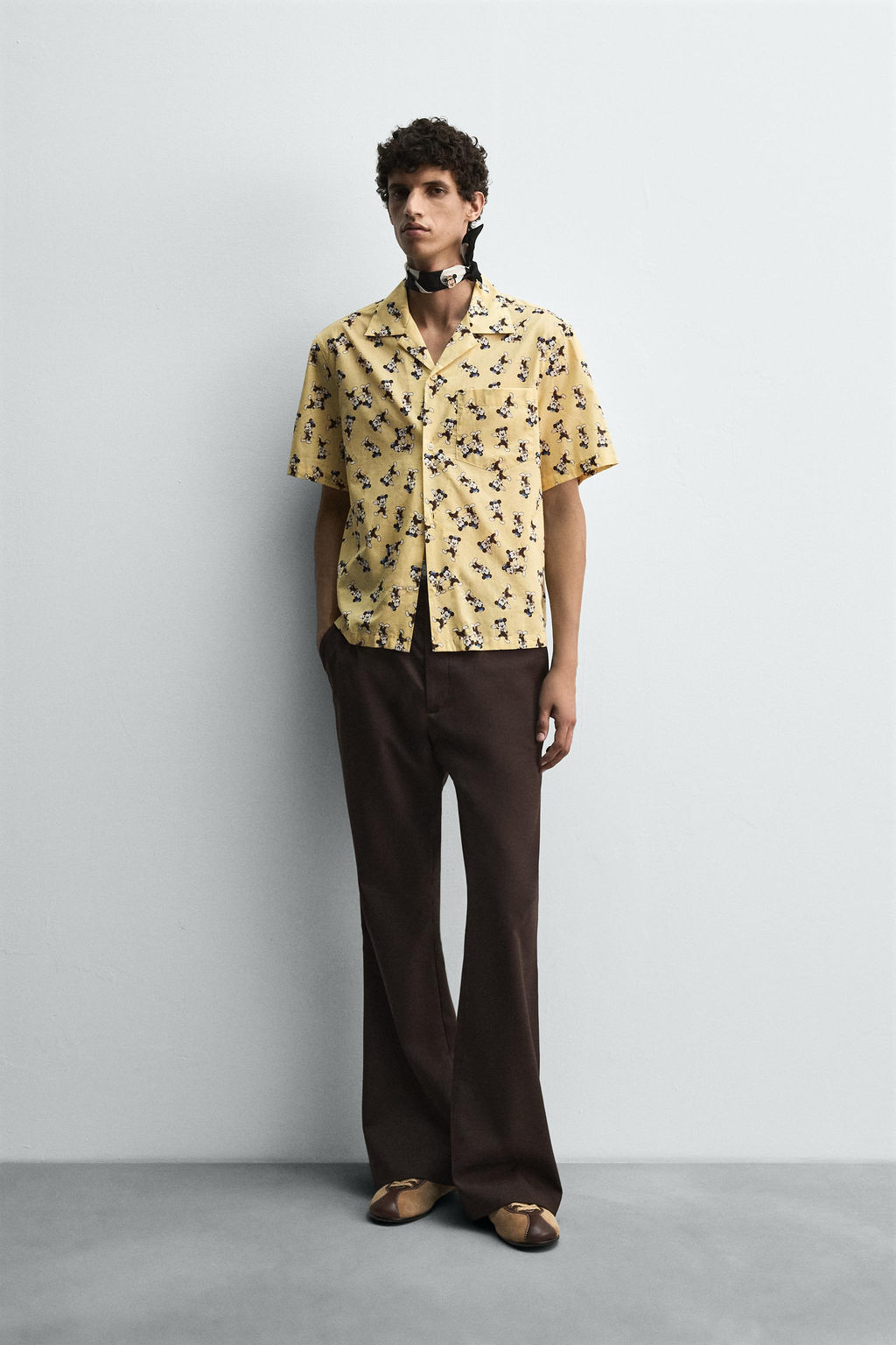 MORTY + FERDY SHIRT HARRY LAMBERT FOR ZARA X DISNEY