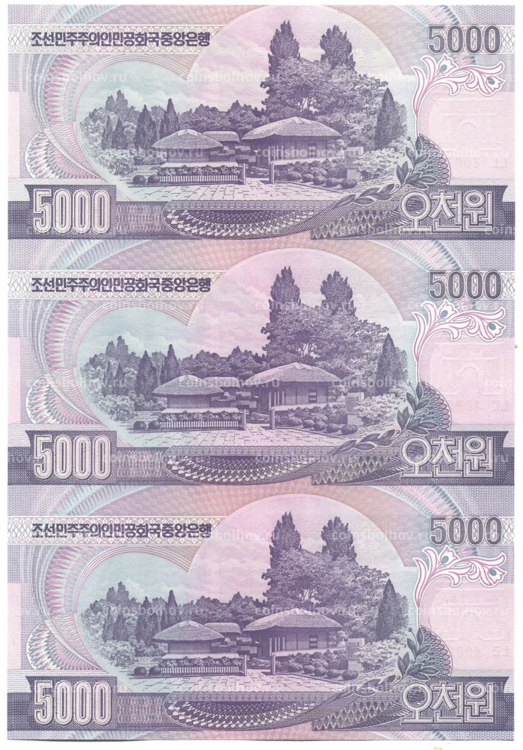 5000 вон 2006 года Северная Корея Лист из трех банкнот