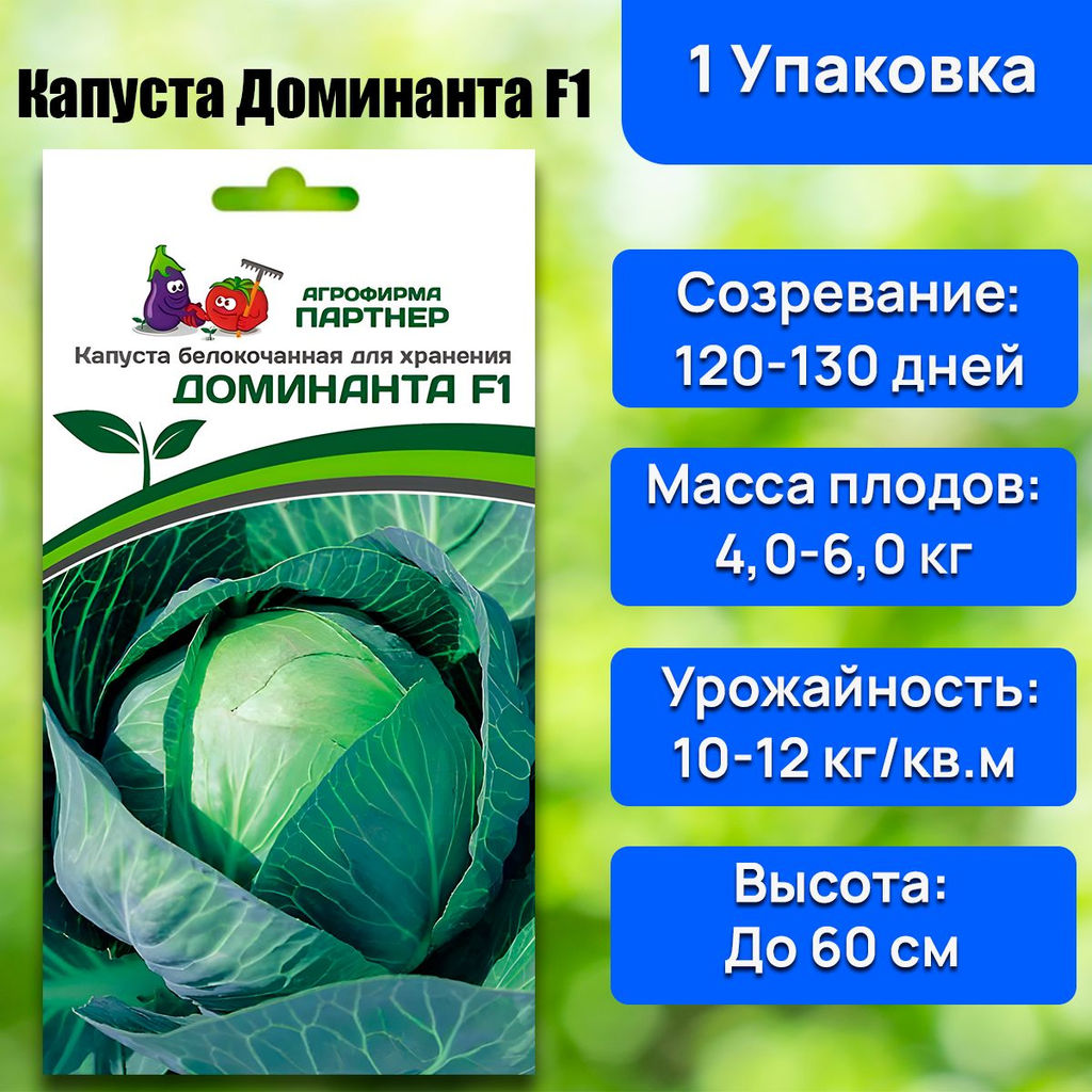 Капуста белокочанная позднеспелая Доминанта - Партнер фото 8
