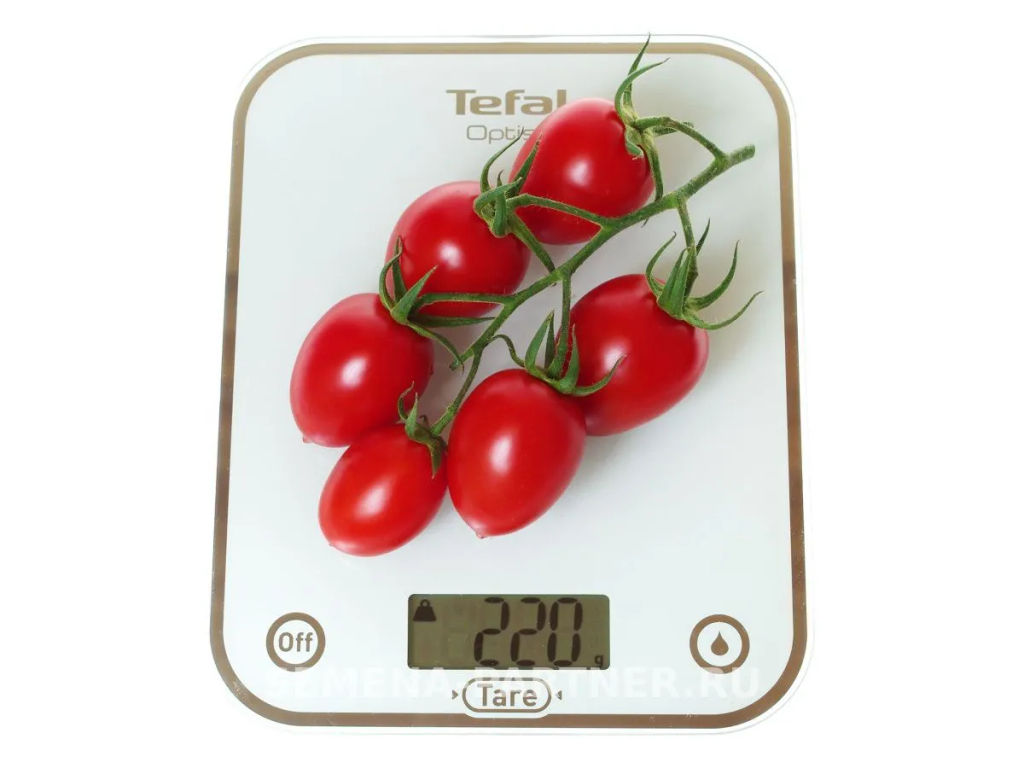 Томат Джур-Джур - Партнер фото 8