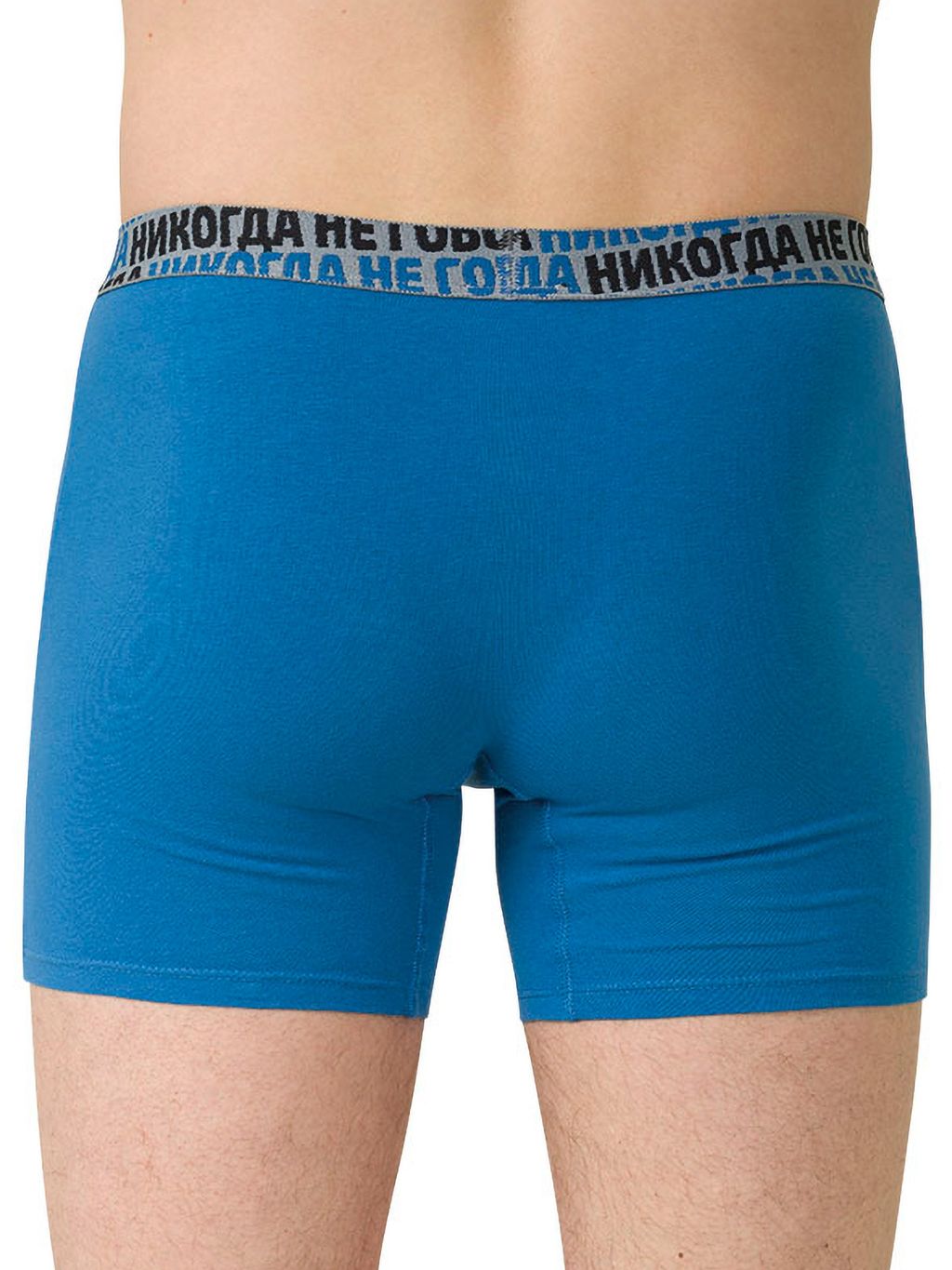 PELICAN, трусы мужские, Черника  фото 2