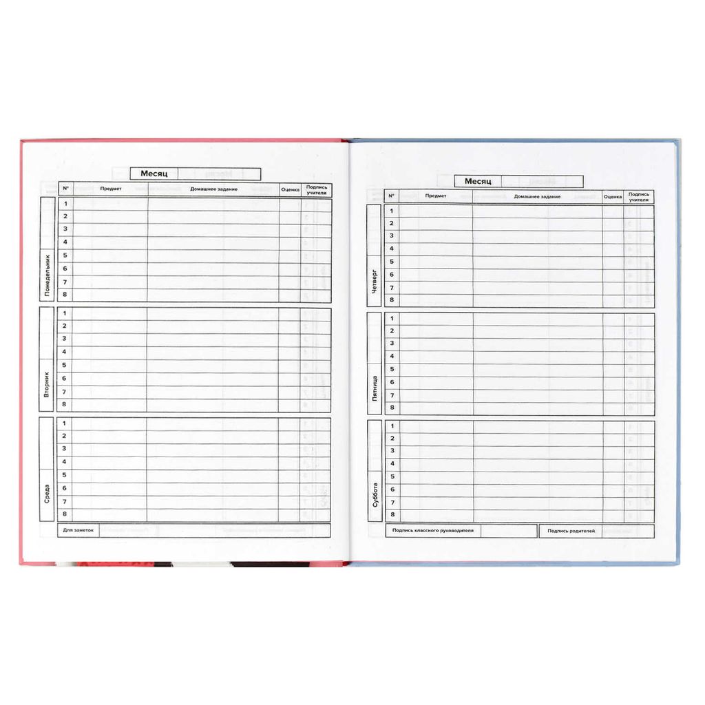 Дневник школьный арт. 56344001 МИЛЫЙ КОТ - Феникс+ фото 7