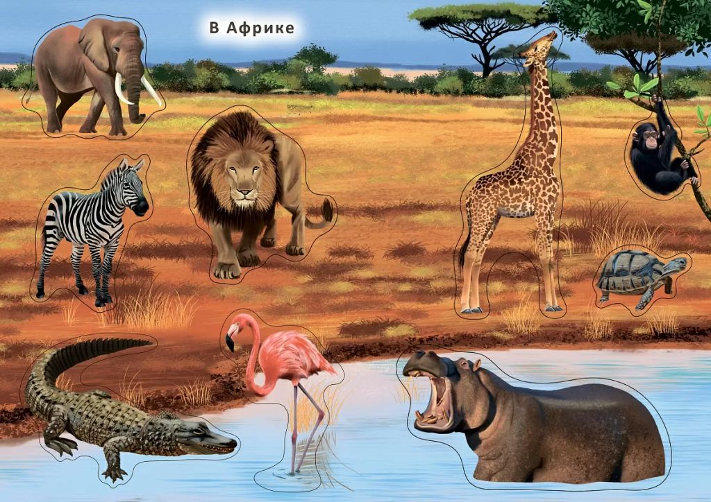 Наклейки с заданиями. Мои первые животные - Робинс фото 5