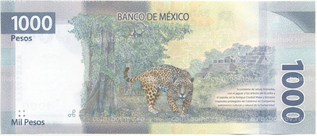 Банкнота 1000 песо 2021 года Мексика