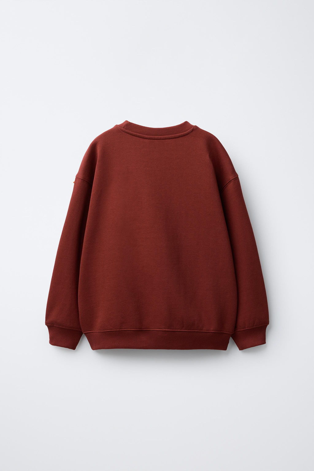 FLOCKED TEXT SWEATSHIRT - Zara фото 2