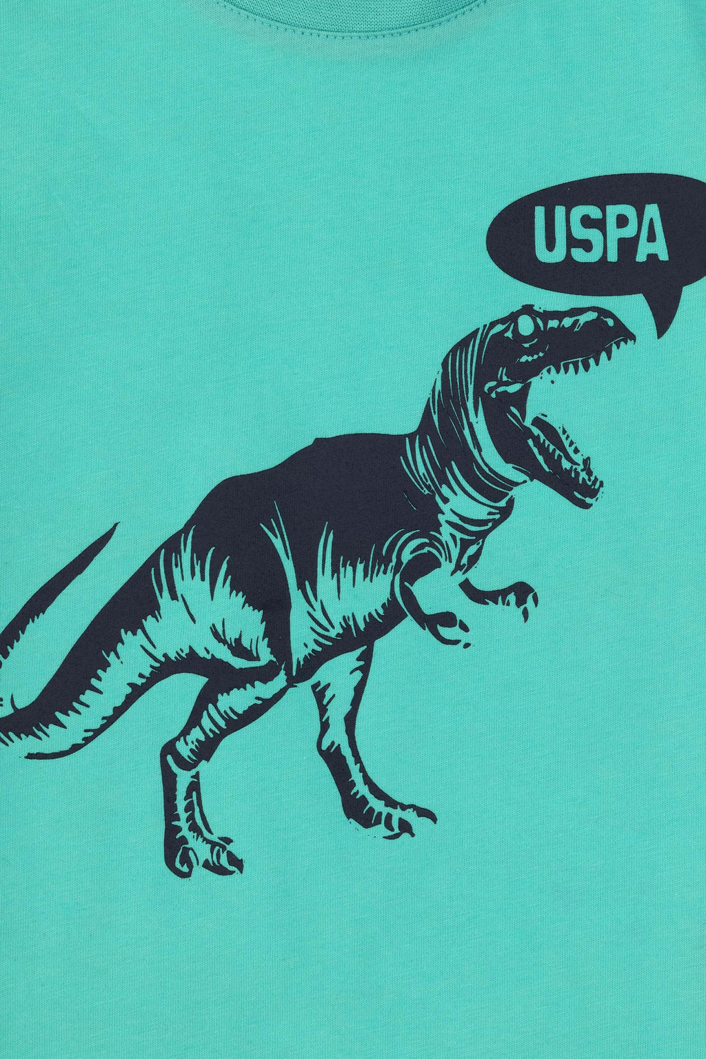 Erkek _ocuk Mint Ti__rt Sepette S_rpriz _ndirim - U.s. polo assn фото 3