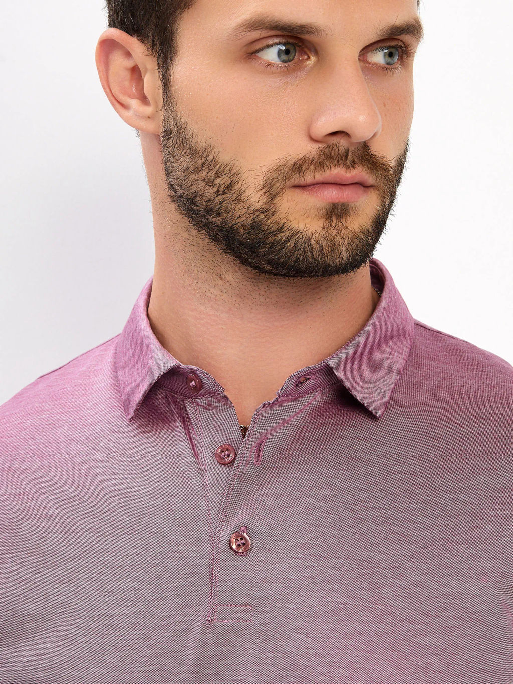 Джемпер мужской с воротником поло GREG G155-PM4-LT1635 (бордо)  фото 8