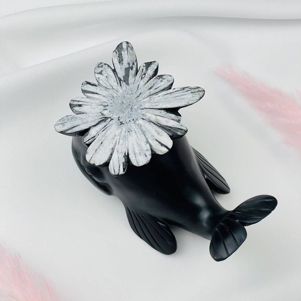 Хризантемный камень "Целестин на аргиллите"