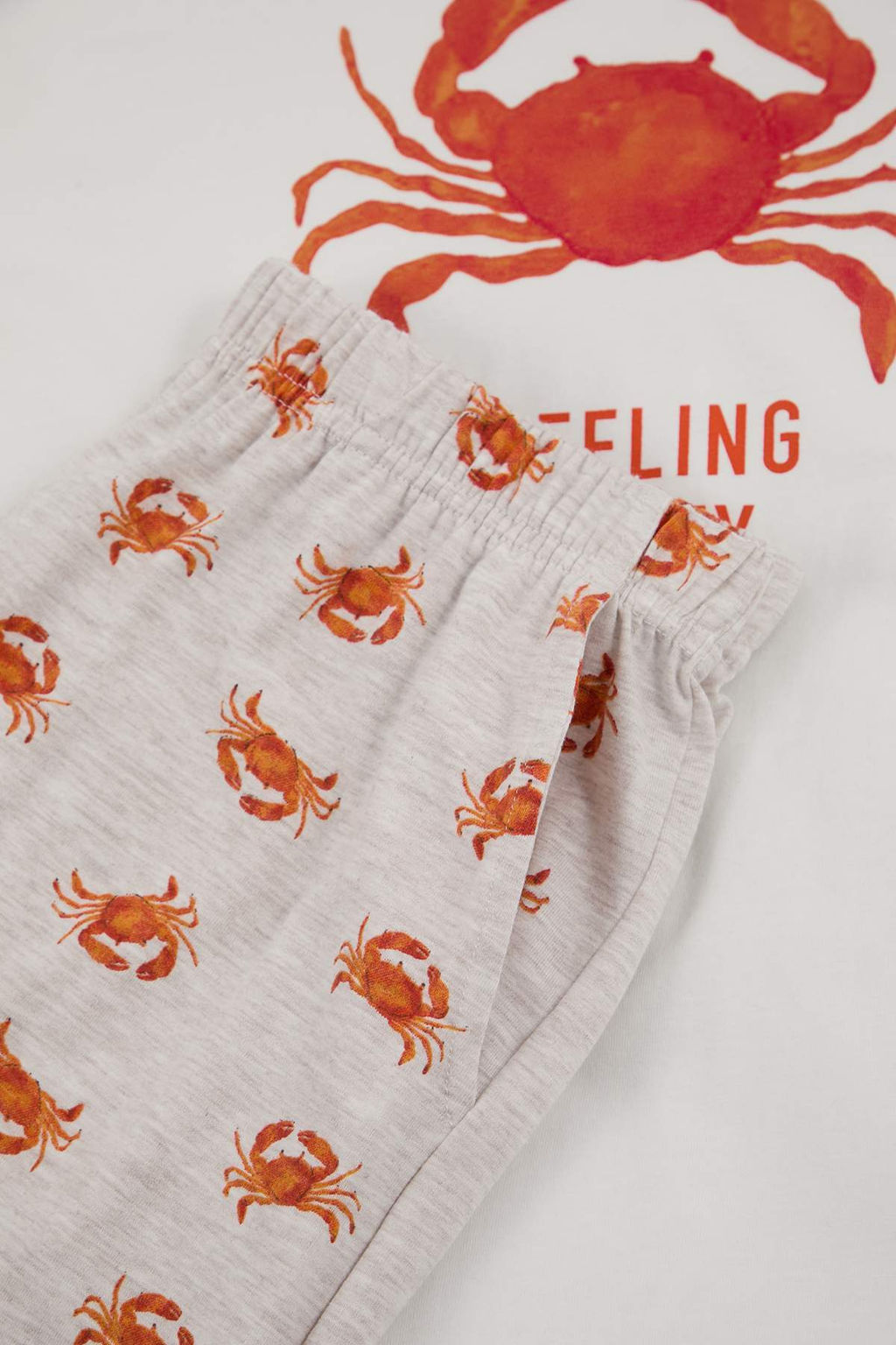 Ekru Regular Fit Yengec Bask?l? Pamuklu Pijama Tak?m? TMNSS26PT00020