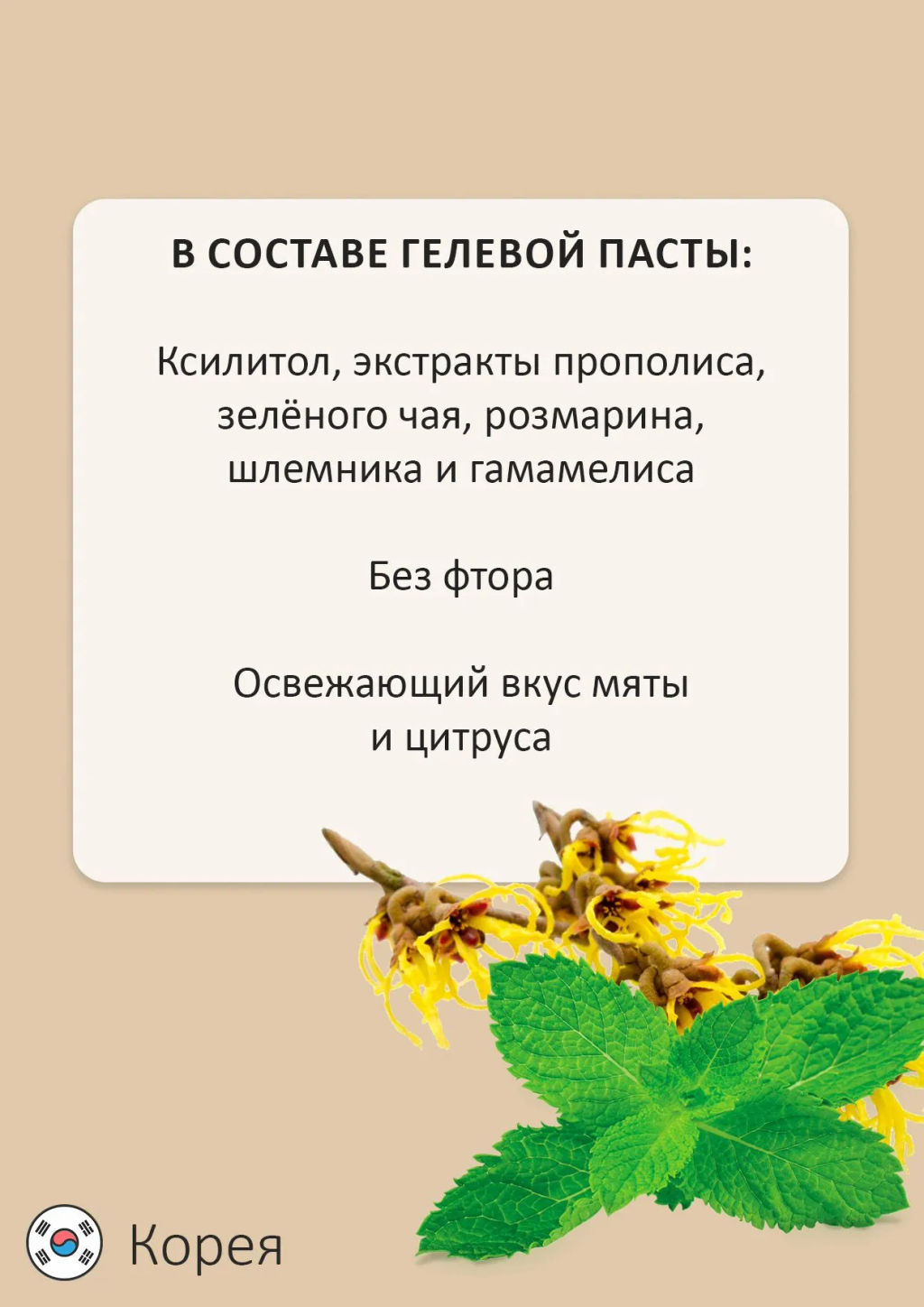 MUKUNGHWA Отбеливающая зубная паста Xyldent «Цитрус и гамамелис» (гелевая) 110 г  фото 3