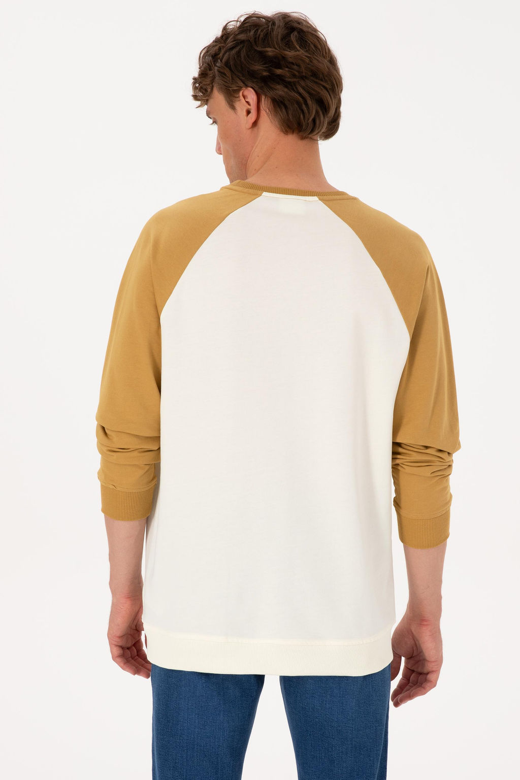 Erkek Bisiklet Yaka Regular Fit Haki Sweatshirt - U.s. polo assn фото 5