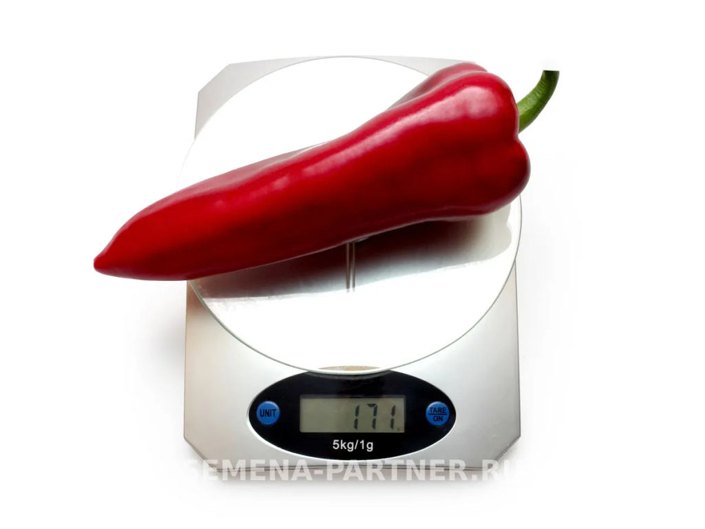 Перец сладкий Самандер - Партнер фото 6