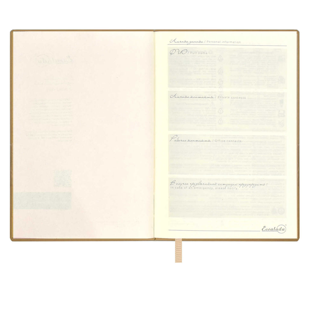 Ежедневник недатированный ESCALADA, А6+, 160 л., арт. 64220/ 20 КРОКО МЕТАЛЛИК ЗОЛОТОЙ  фото 4