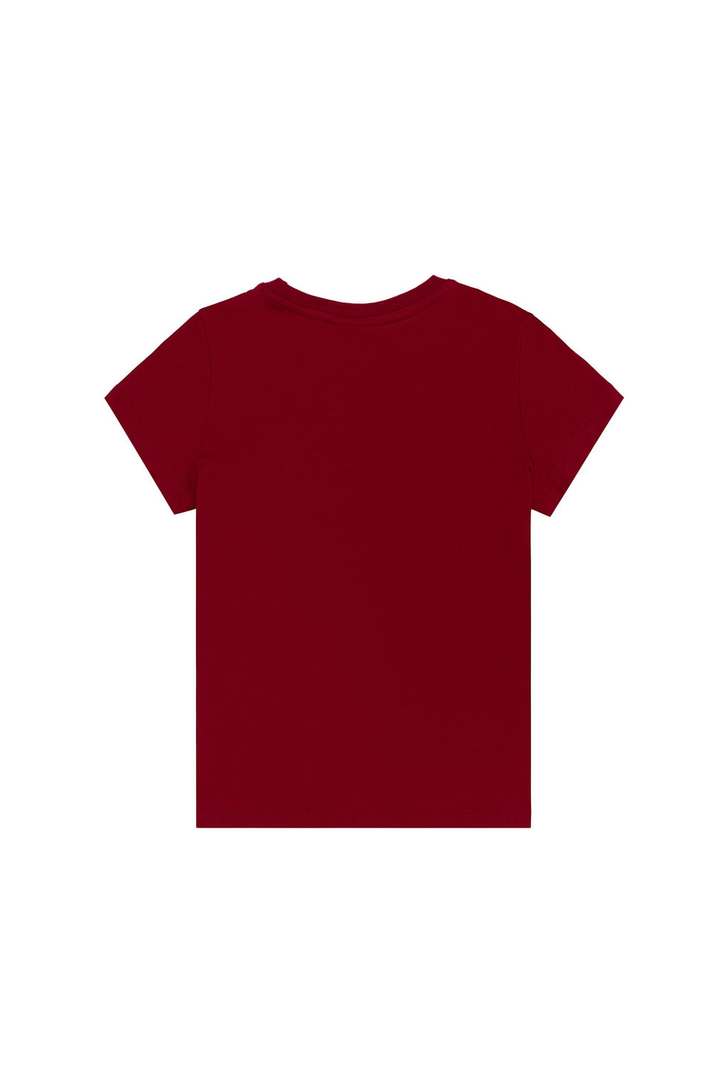 Erkek _ocuk Pembe Bisiklet Yaka Ti__rt - U.s. polo assn фото 2