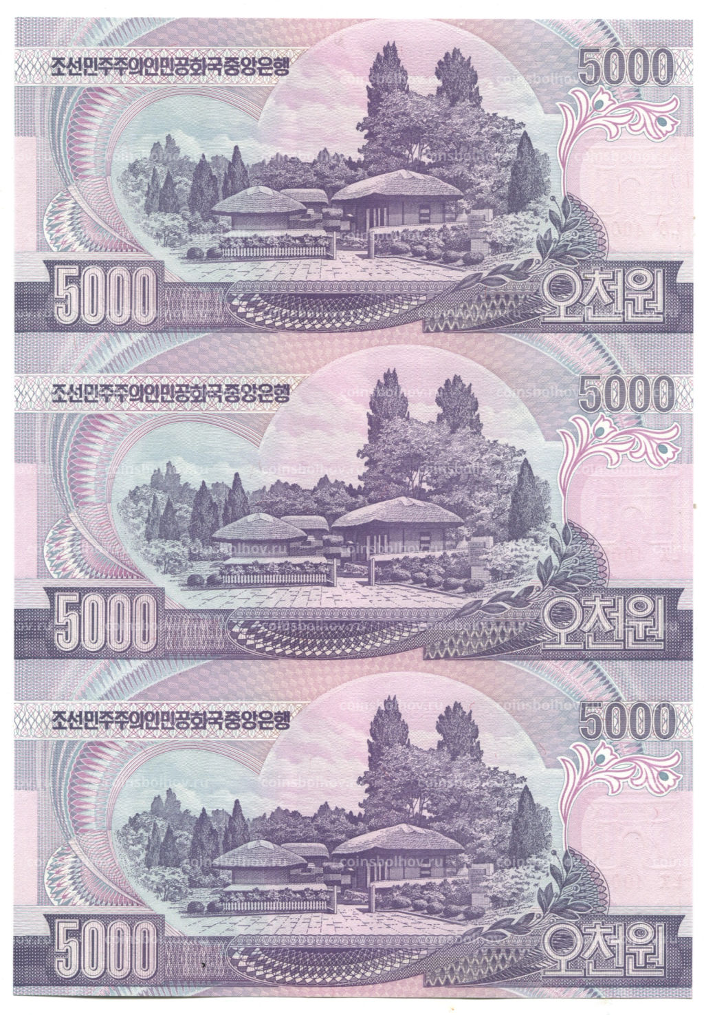 5000 вон 2006 года Северная Корея  Лист из трех банкнот