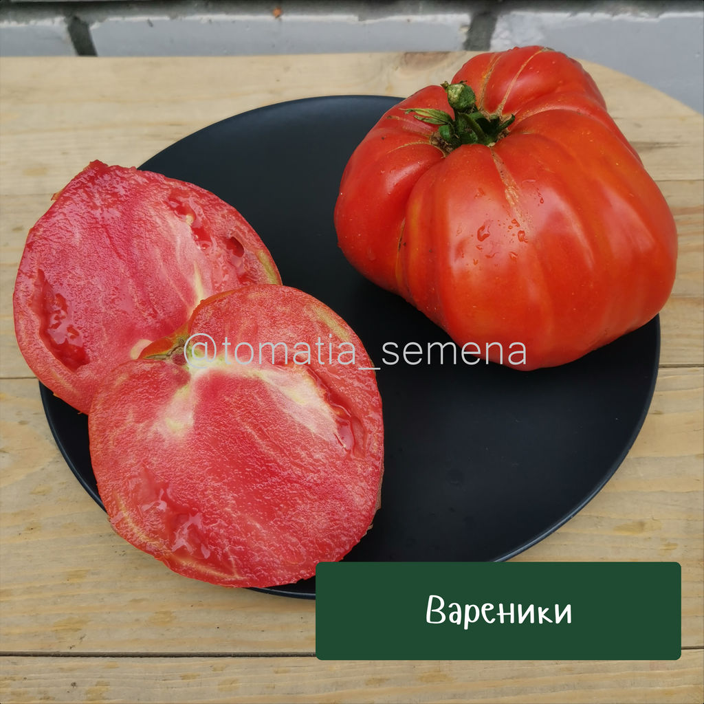 Вареники - Tomatia фото 2