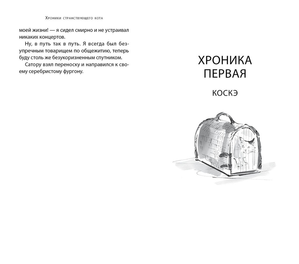Хроники странствующего кота. Арикава Х. - Азбука фото 9