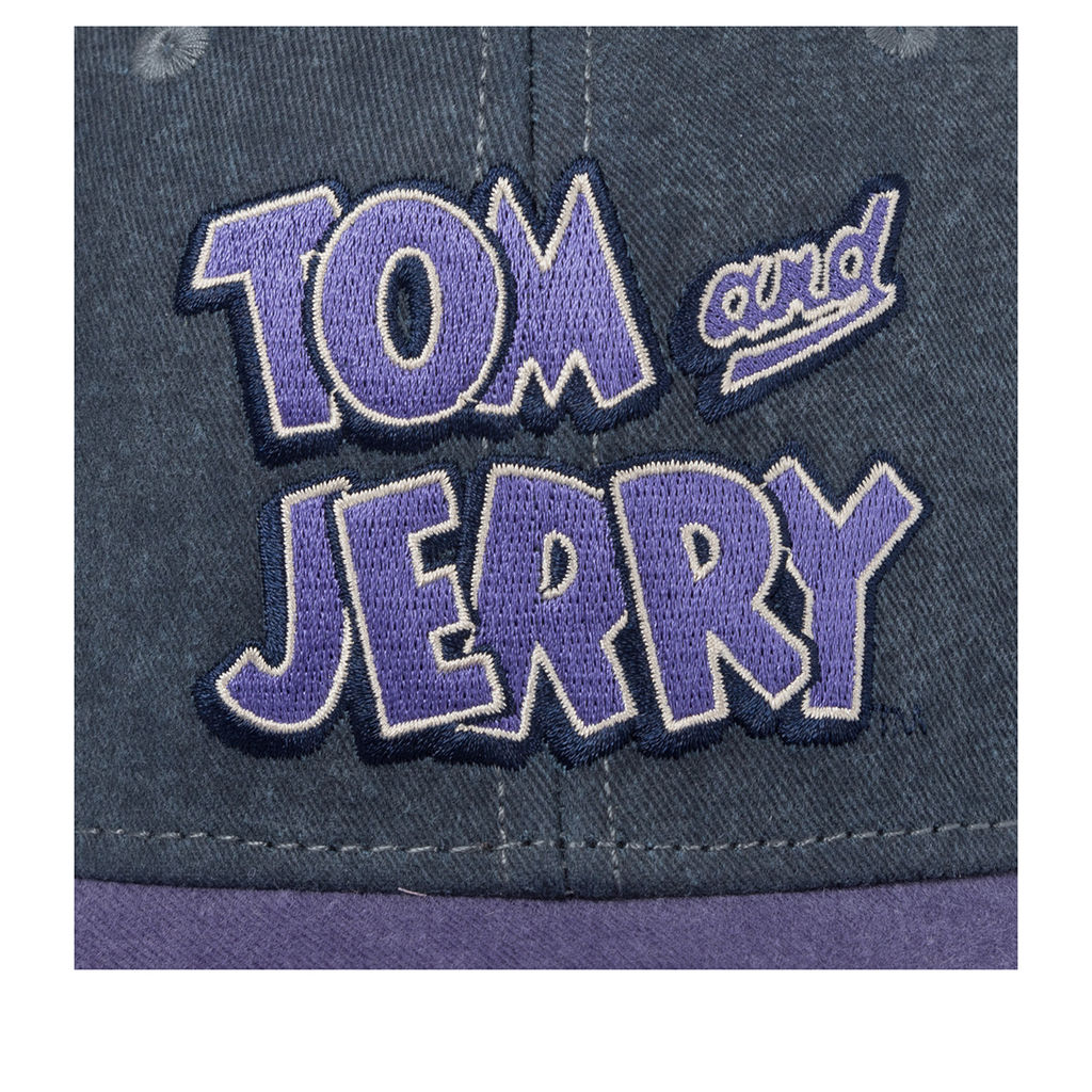 Бейсболка CAPSLAB арт. CL/TAJ8/1/PCS/TAJB Tom and Jerry (синий / сиреневый)
