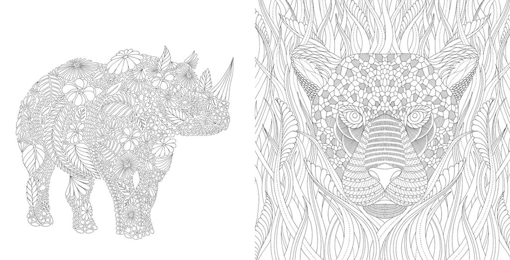 Чудеса природы. Золотая коллекция любимых иллюстраций (тв.обл.). Маротта М. - Колибри фото 3