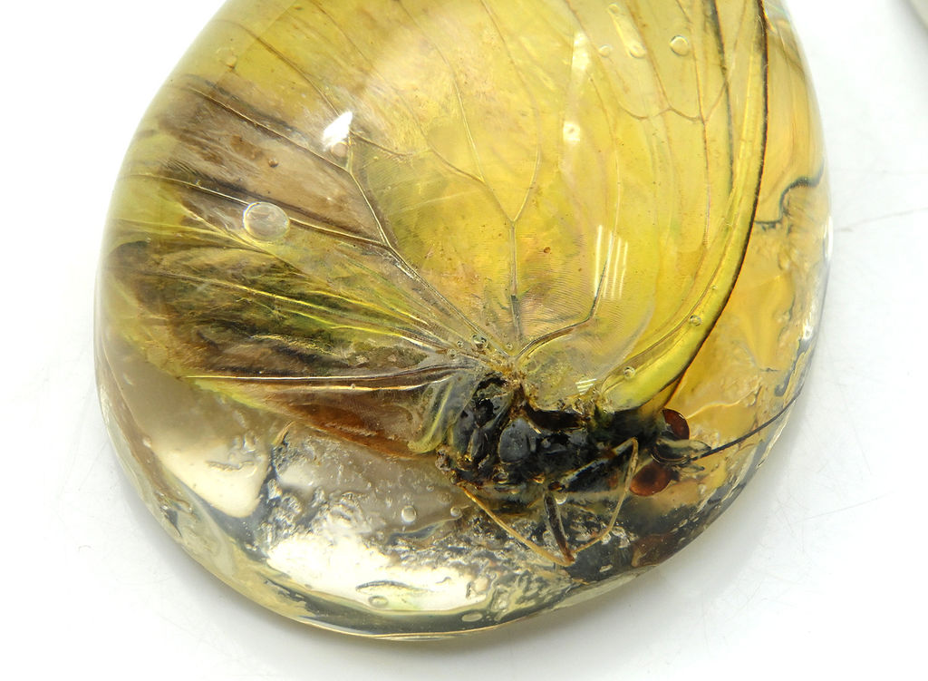 Кулон из янтаря искусственного капля 43*55мм Бабочка, цв.лимонный