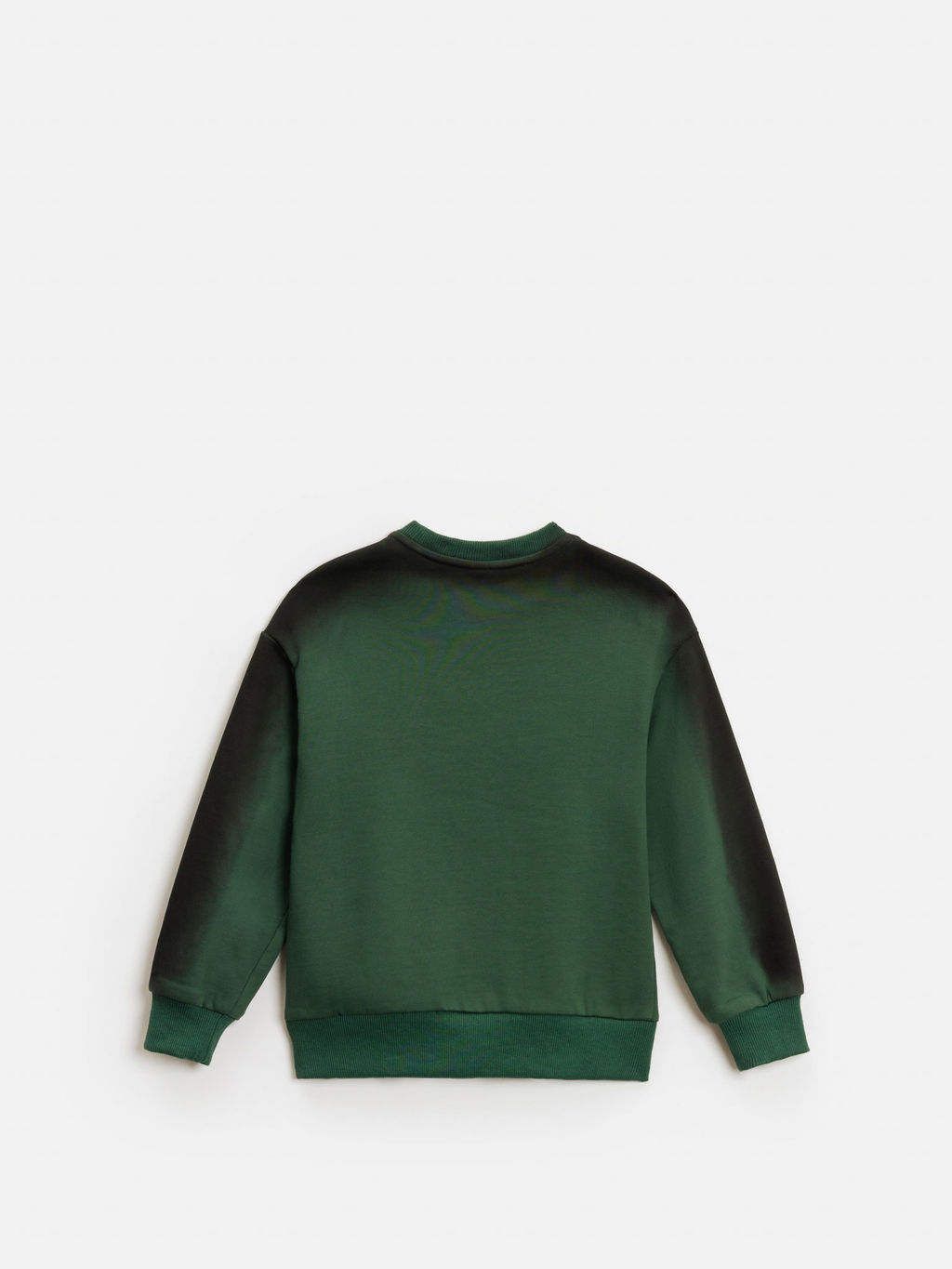 ACOOLA / Джемпер детский для мальчиков Pirog зеленый  фото 2