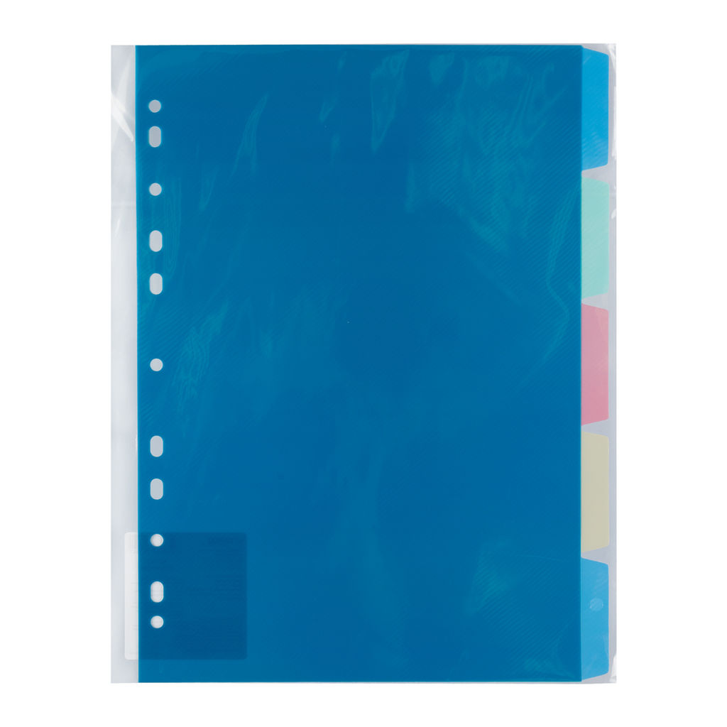 Expert Complete Classic Разделитель листов пластиковый A4 5 шт. EC270040200 песок ассорти