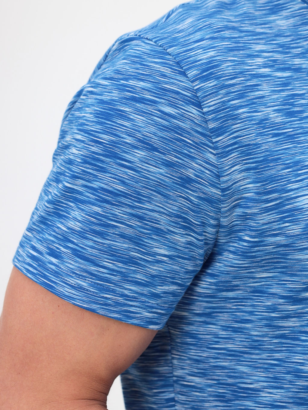 Футболка мужская короткий рукав GREG G145-KM-OR1030 (голубой)  фото 2