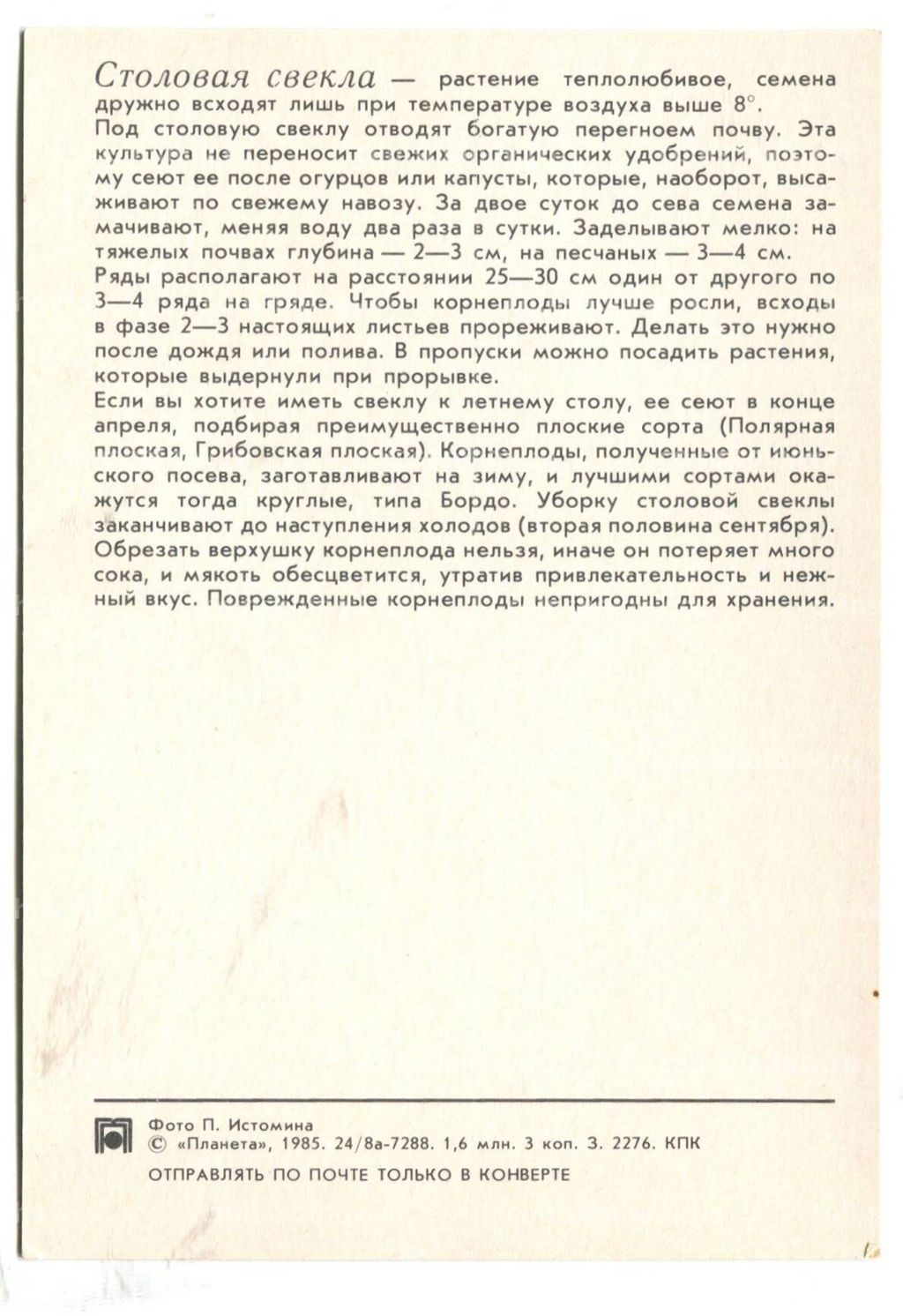 Открытка Свекла