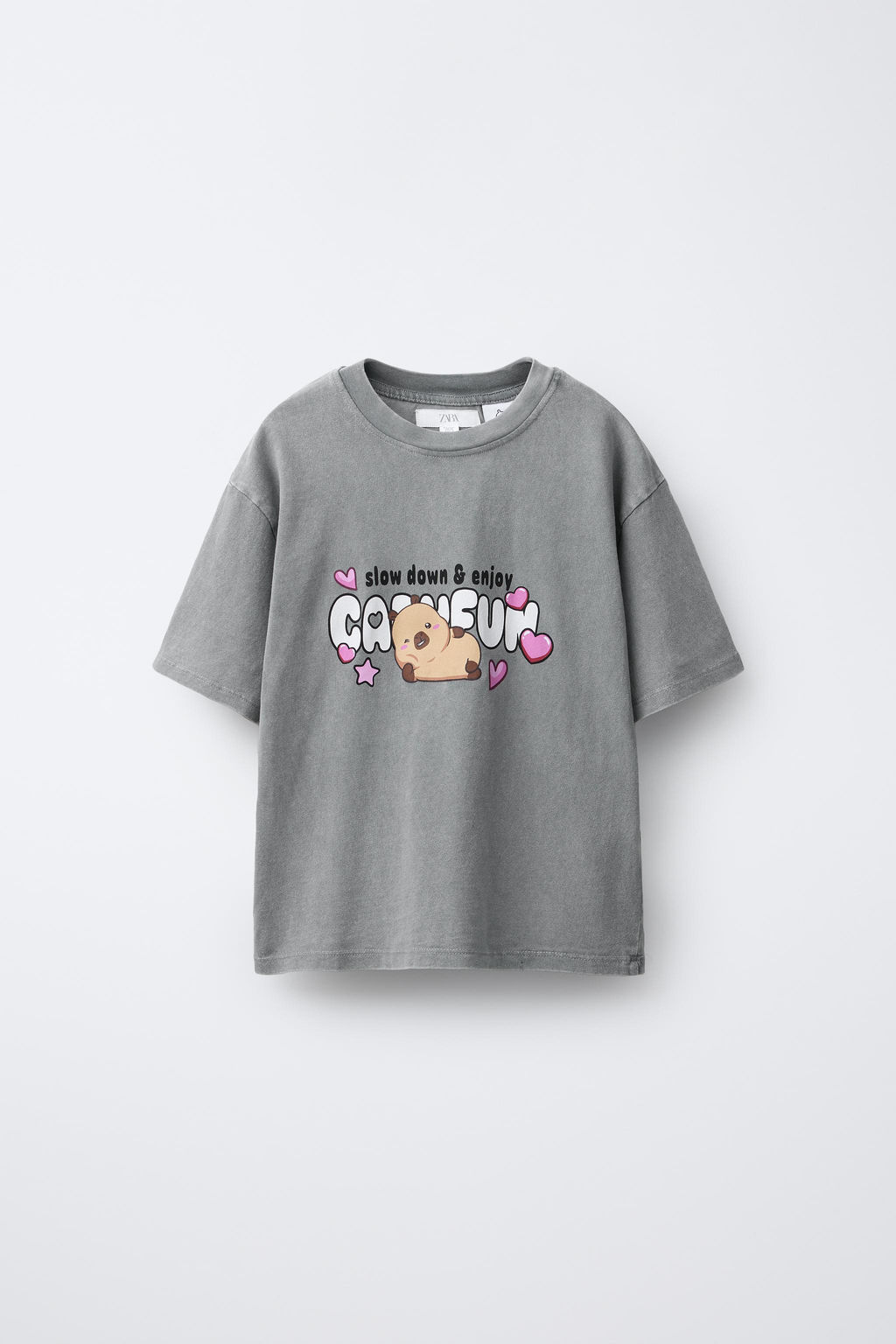 FADED-EFFECT CAPYBARA CAPYFUN  T-SHIRT