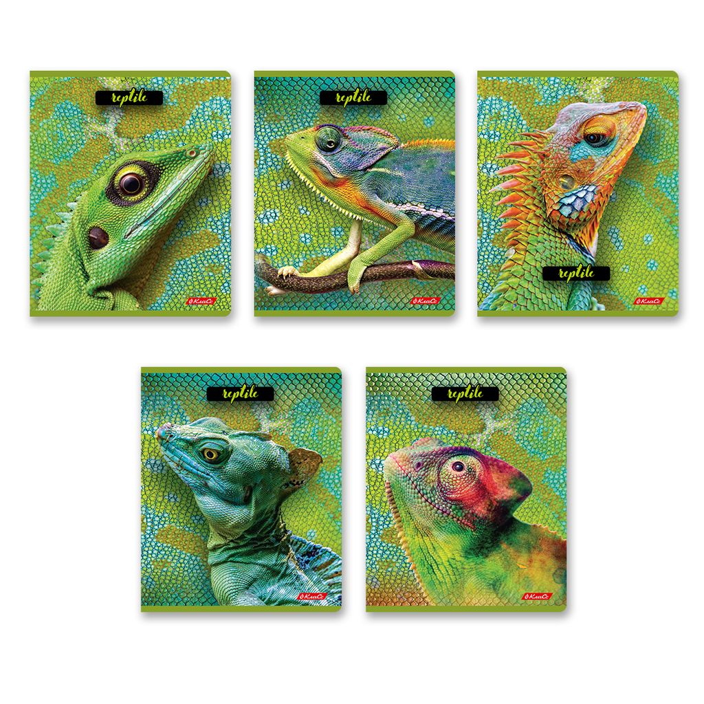 Светоч 80ТСК5_8_2_1 Тетрадь ученическая общая, твин лак, A5 80 л. на скобе 65 г/кв.м , белизна 100 % 5 шт. клетка 000487 Рептилии