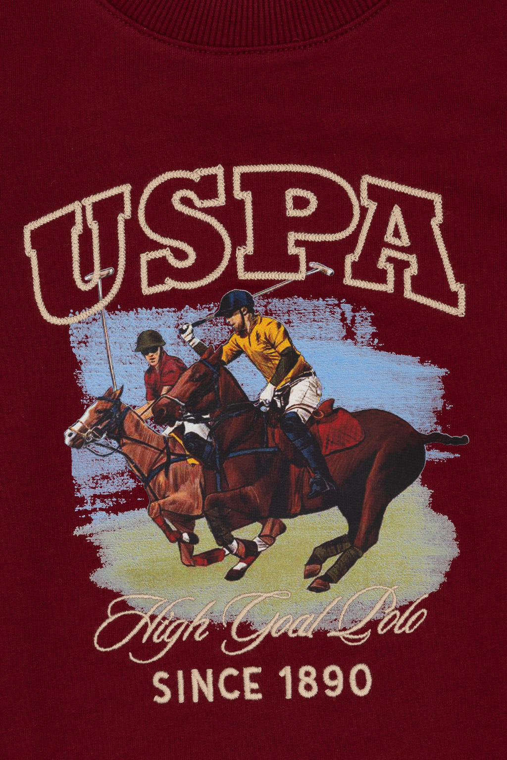 Erkek _ocuk Bordo Bisiklet Yaka _nce Bisiklet Yaka Sweatshirt - U.s. polo assn фото 6