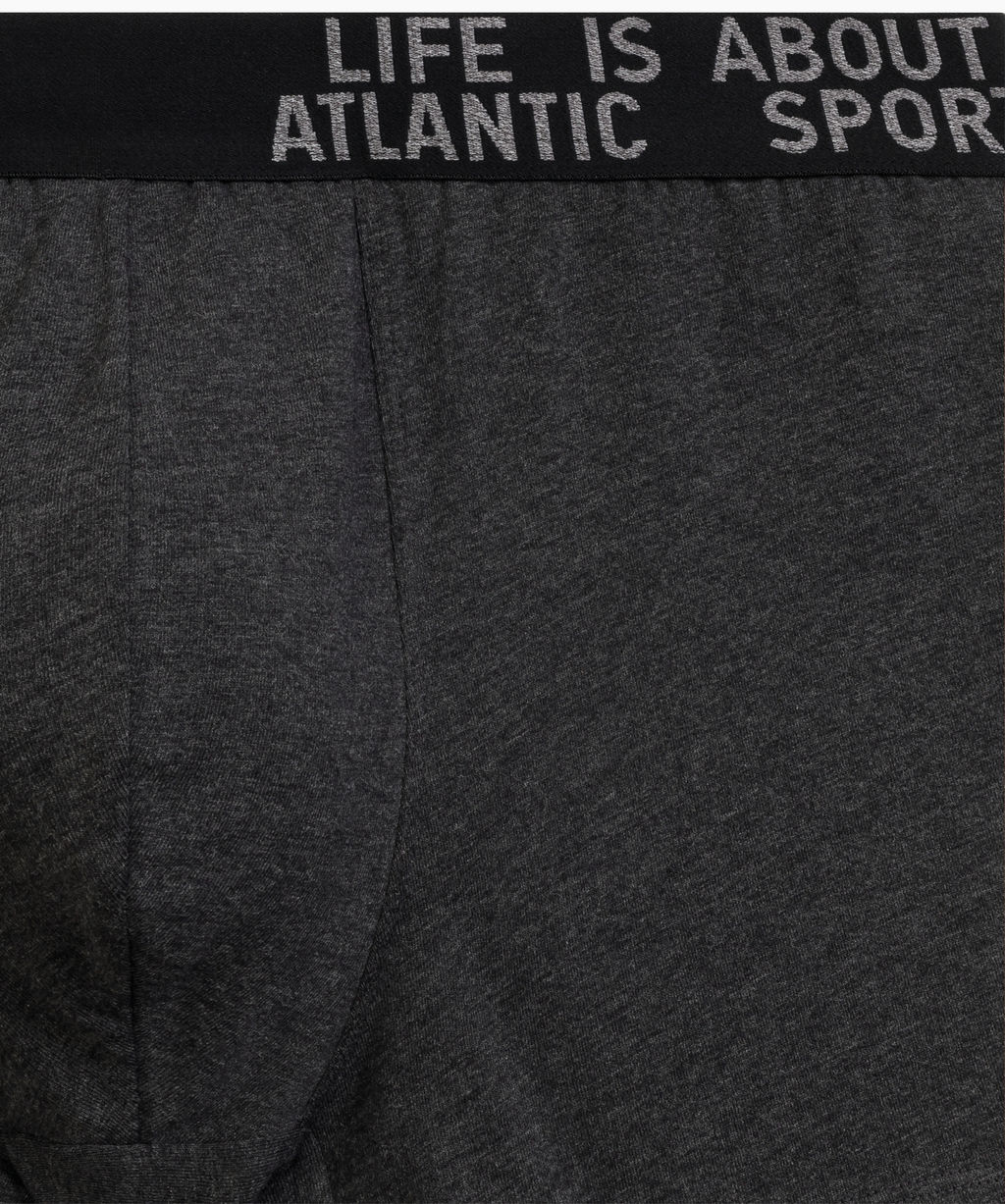 ATLANTIC 3MH-226 Трусы шорты Melange - набор 3 шт. темно-серый меланж + медно-багряный меланж + коричневый меланж фото 4