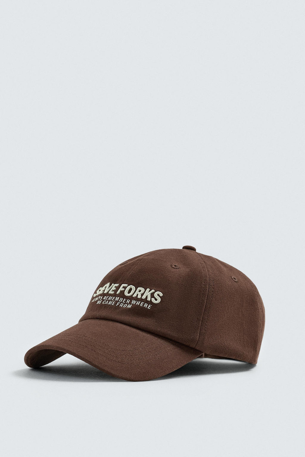 GORRA TEXTO BORDADO / Marr?n - Zara фото 5