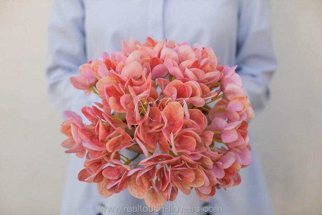 Гортензия соцветие XL (без стебля) - Коралловый