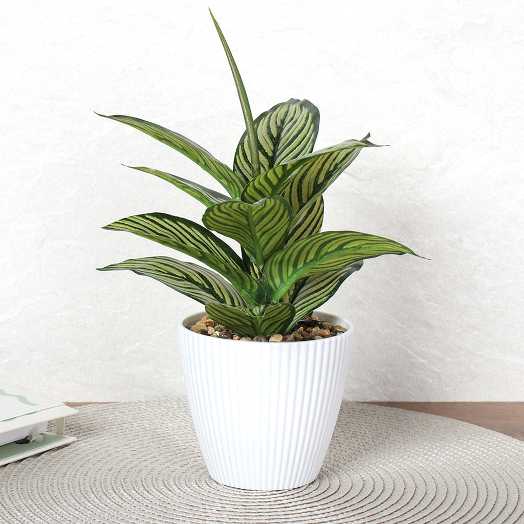 Цветочная композиция Диффенбахия 26 см / 9090-12 /уп 12/96/ - Галеонтрейд фото 18