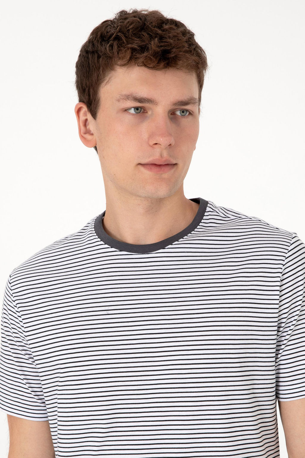 Erkek Regular Fit Bisiklet Yaka Siyah _izgili Ti__rt Sepette S_rpriz _ndirim - U.s. polo assn фото 2