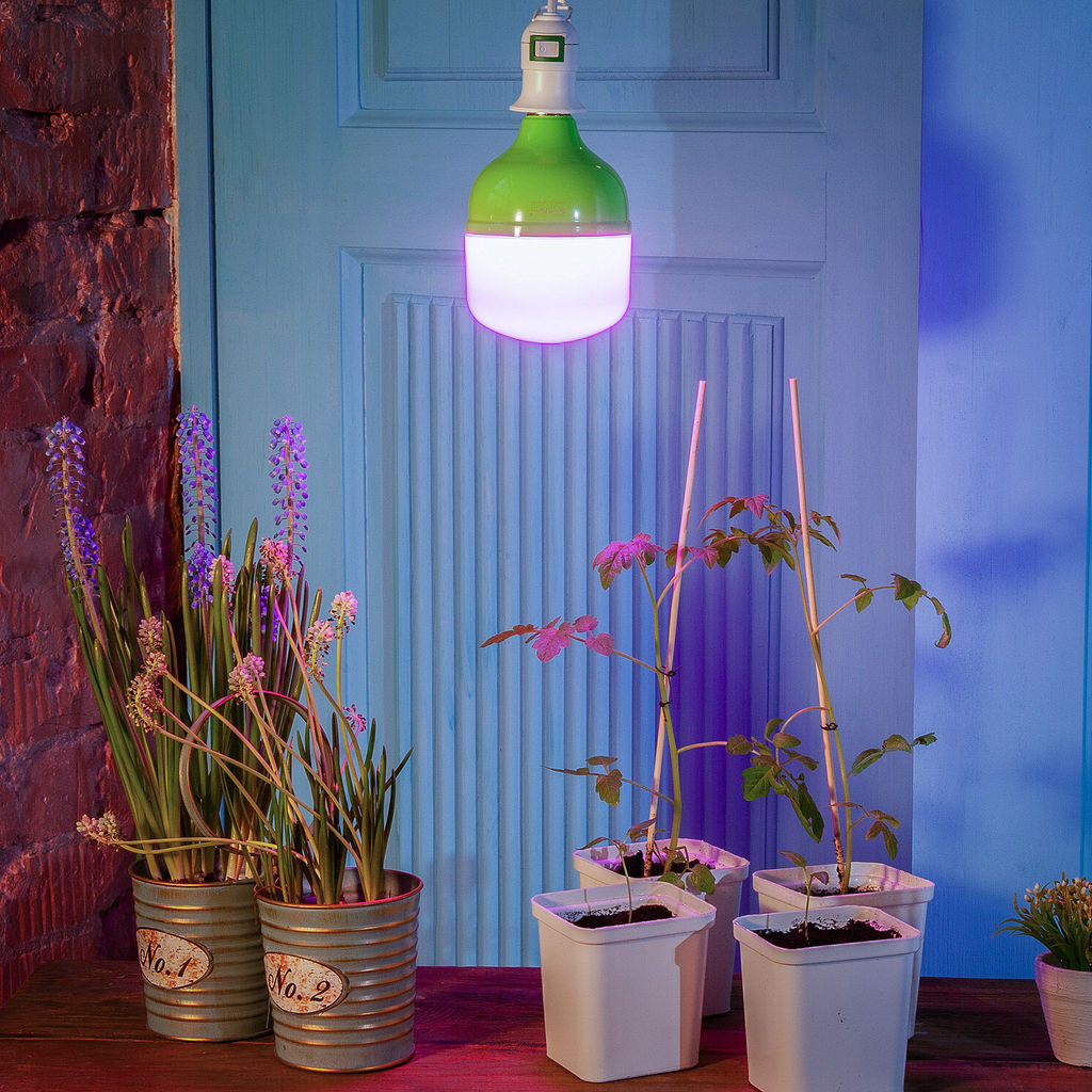 LED-M80-20W/SPSB/E27/FR PLS55GR Лампа светодиодная для растений, IP54. Форма M, матовая. Спектр для рассады и цветения. Картон. TM ФитоЛето - Volpe фото 4