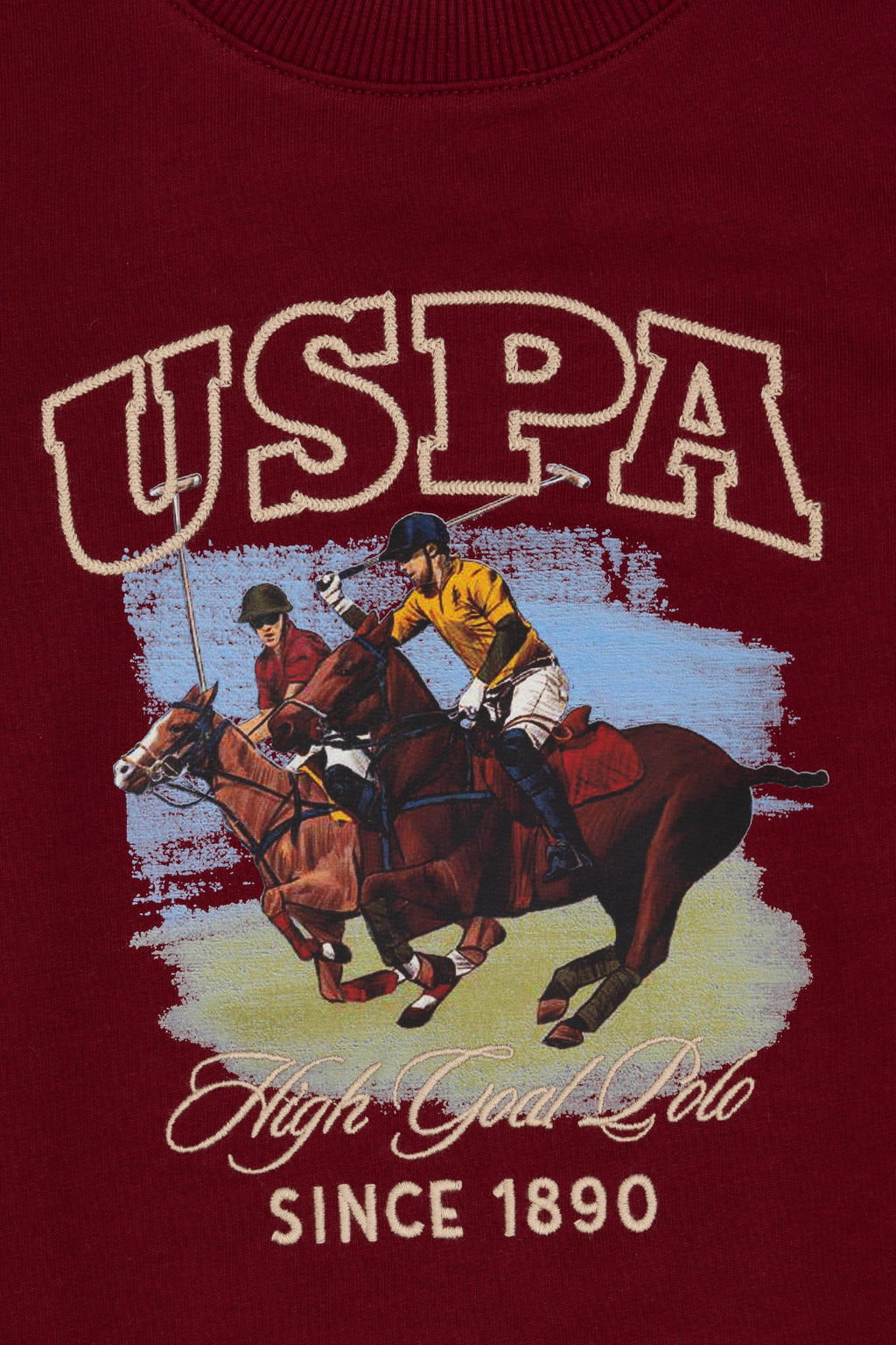 Erkek _ocuk Bordo Bisiklet Yaka _nce Bisiklet Yaka Sweatshirt - U.s. polo assn фото 3