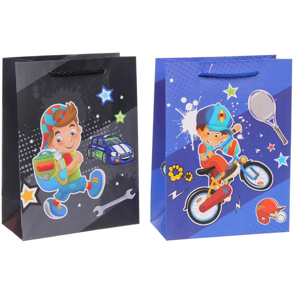 Пакет подарочный "Весёлый транспорт" 18*24*8,5 см, микс