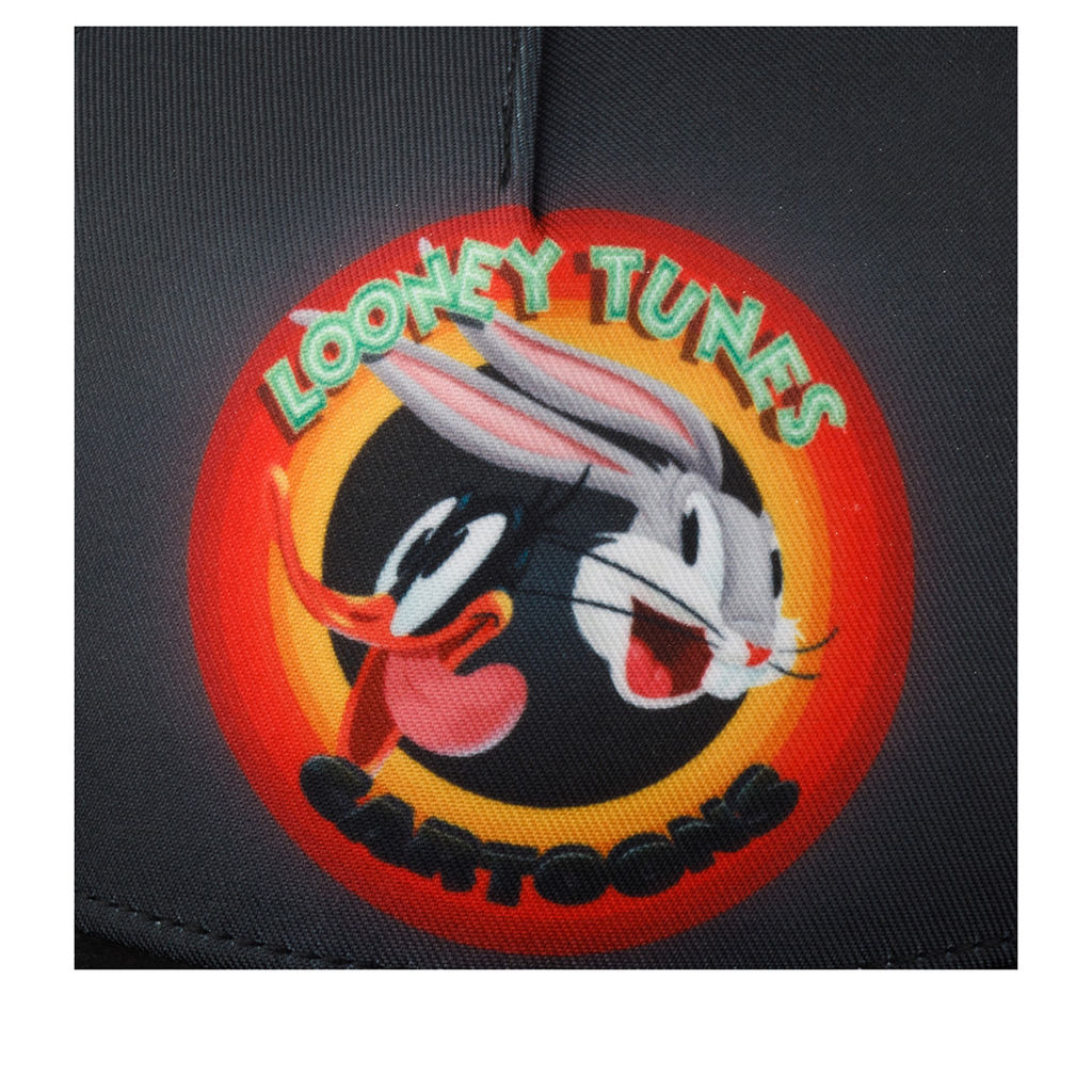 Бейсболка CAPSLAB арт. CL/LOO8/1/CASF/RIN Looney Tunes Merrie Melodies (темно-серый)  фото 3