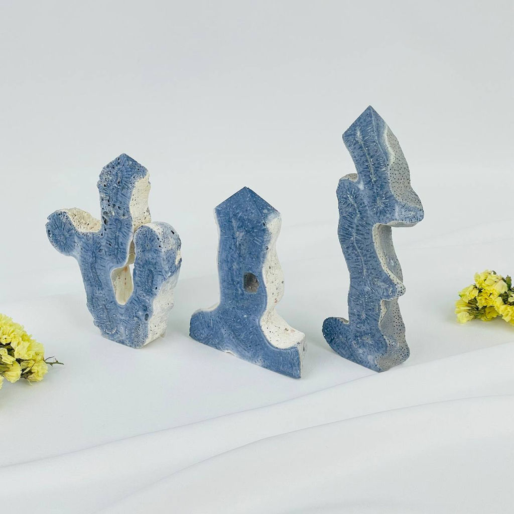 Срез Коралла - Радуга самоцветов фото 3