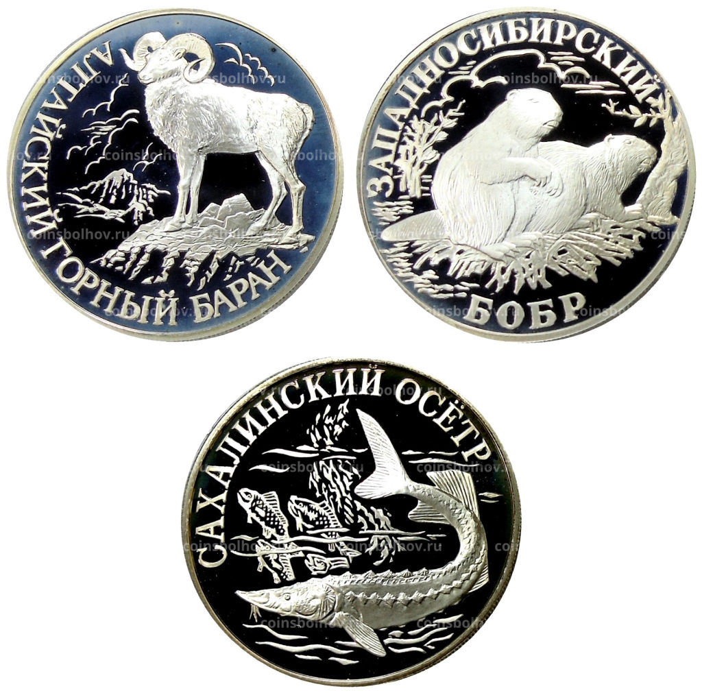 Набор из 3 монет 1 рубль 2001 года СПМД Красная книга