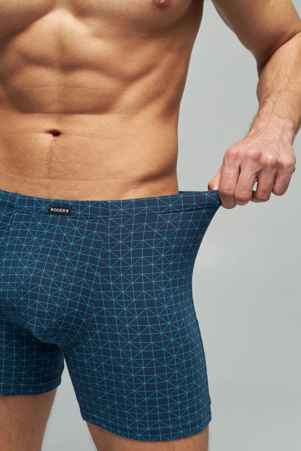 Трусы мужские боксеры Rogers 8703 хлопок, эластан размеры M, L, XL, 2XL  фото 9