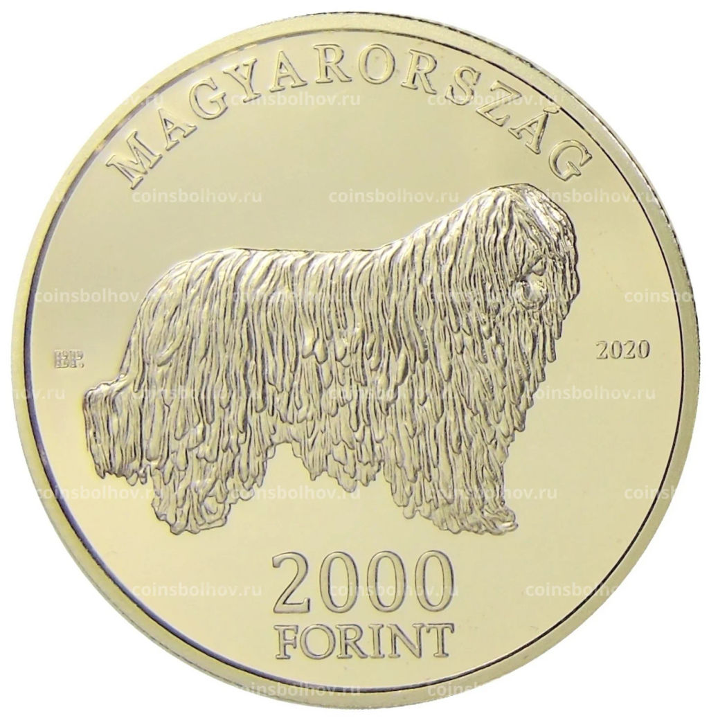 Монета 2000 форинтов 2020 года Венгрия  Венгерские овчарки и породы охотничьих собак  Комондор