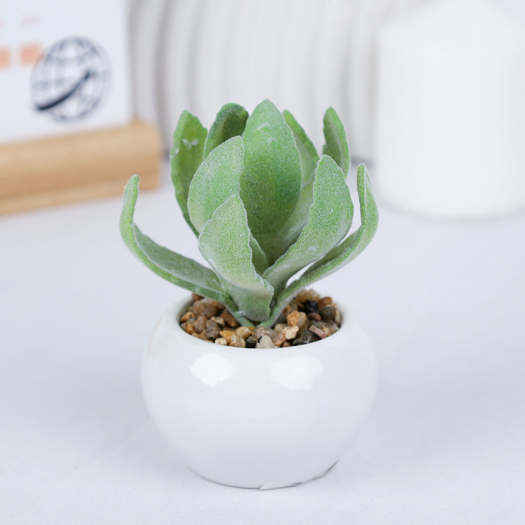 Цветочная композиция Кактус / WER-10 /уп 12/192/ микс